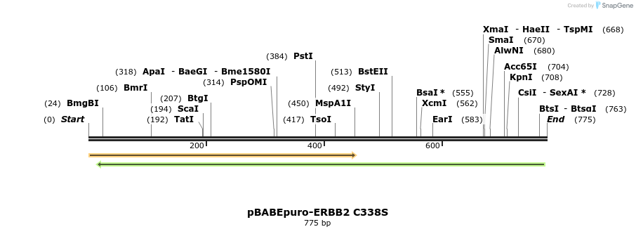 55269_map