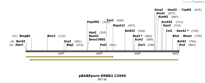 55270_map