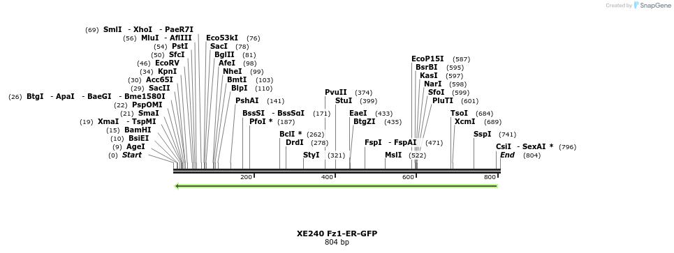 55277_map