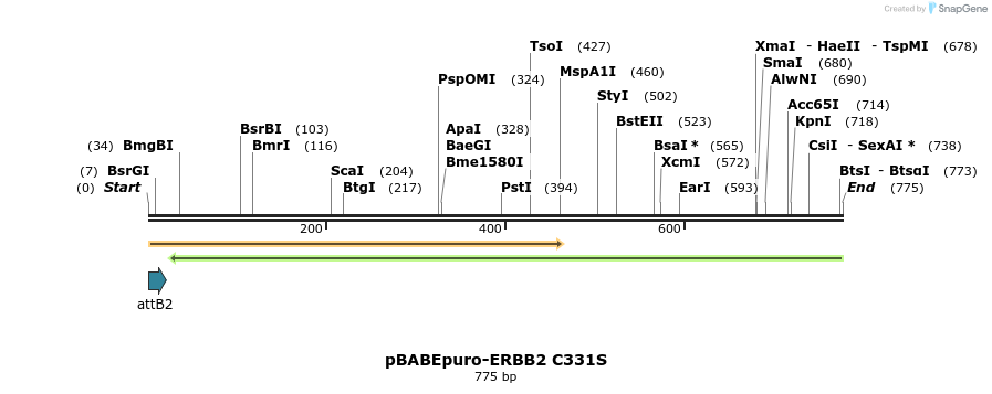 55278_map