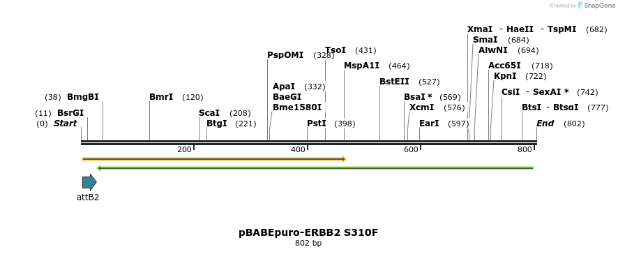 55281_map