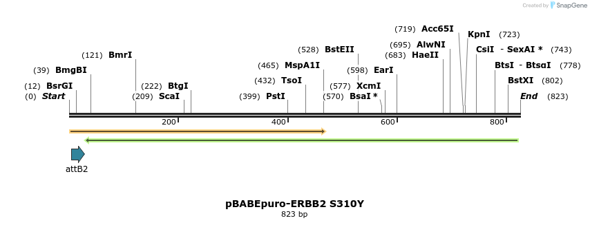 55282_map
