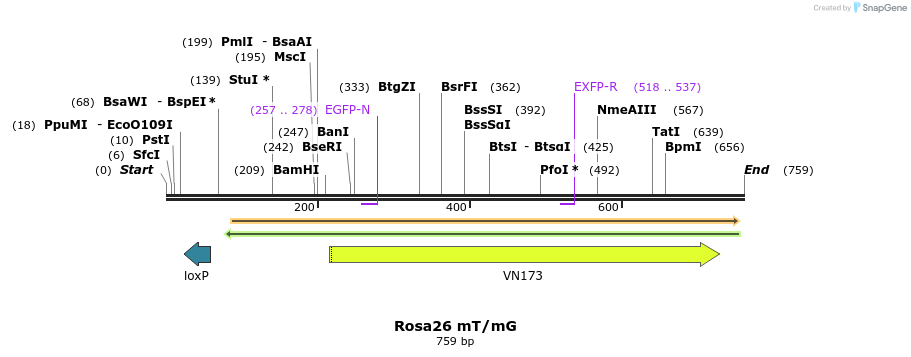 55283_map