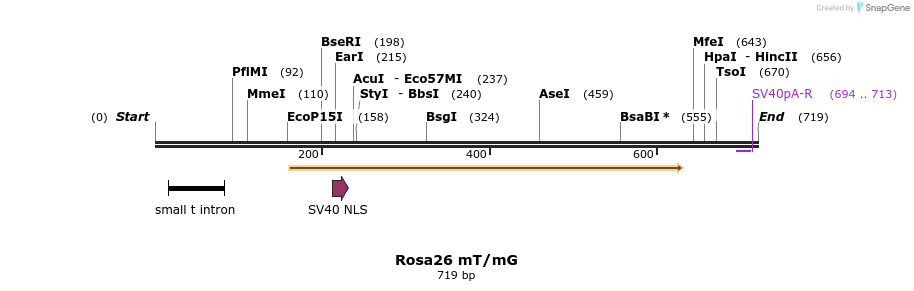 55284_map