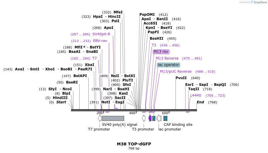 55288_map