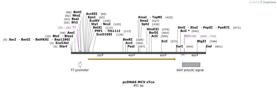 55295_map