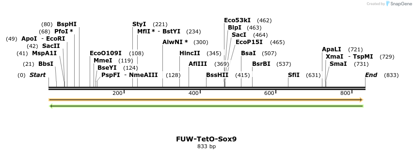 55297_map