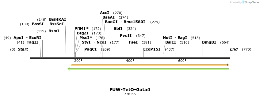 55301_map