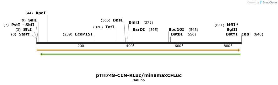 55305_map
