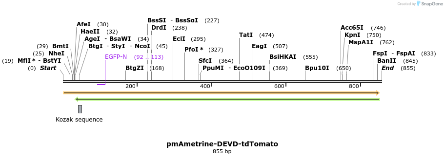 55309_map