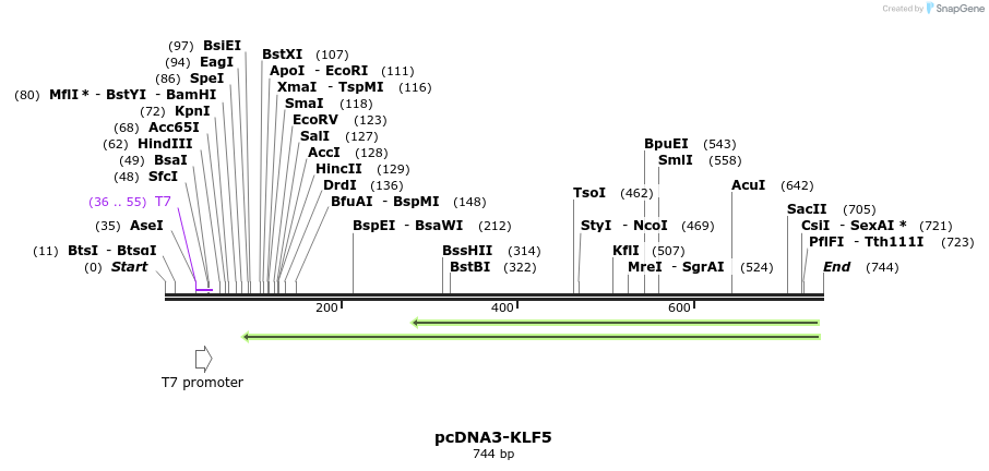 55310_map