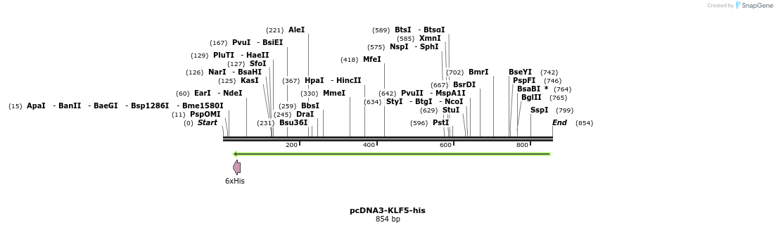 55312_map