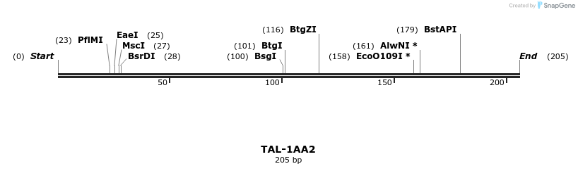 55313_map