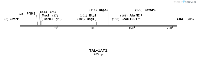 55316_map