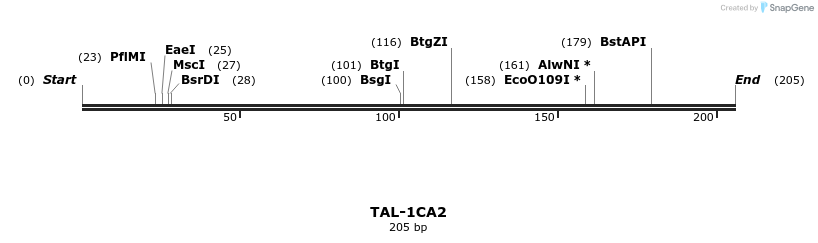 55317_map