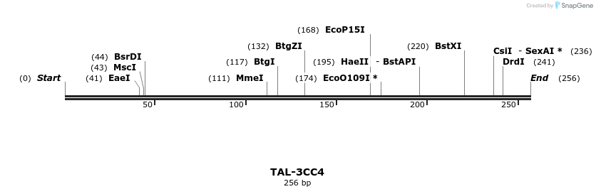 55334_map