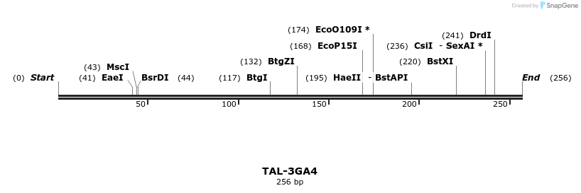 55337_map