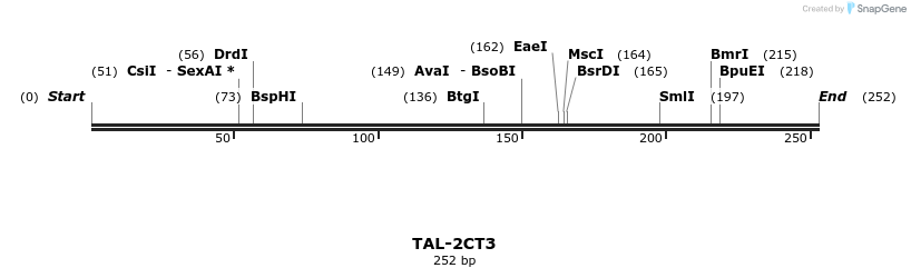55356_map