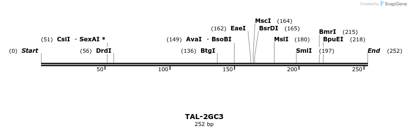 55358_map