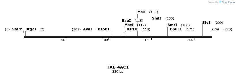 55366_map