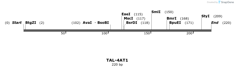 55368_map