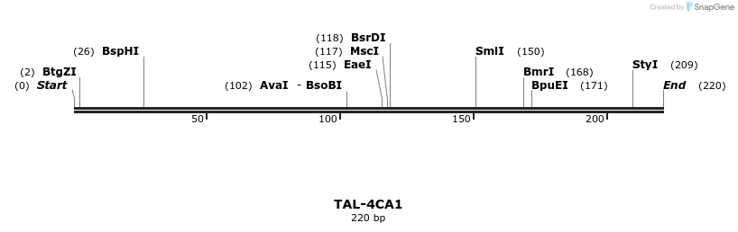 55369_map