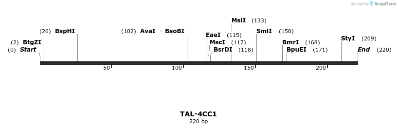 55370_map
