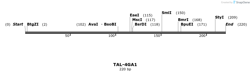 55373_map