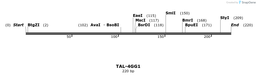 55375_map