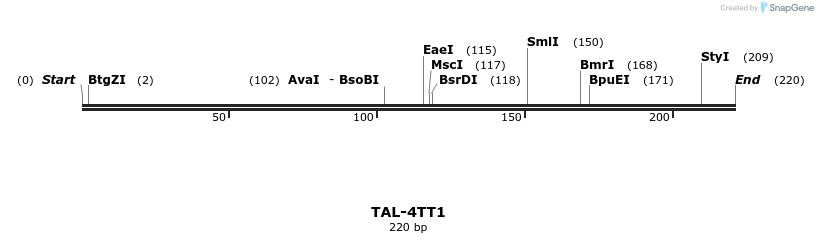 55380_map