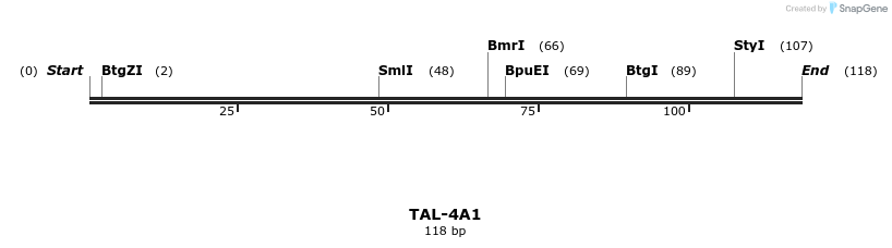 55381_map