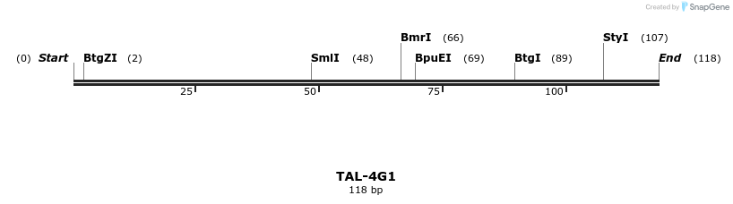 55383_map