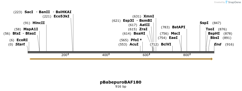 55393_map