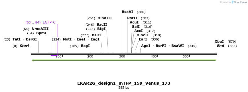55395_map