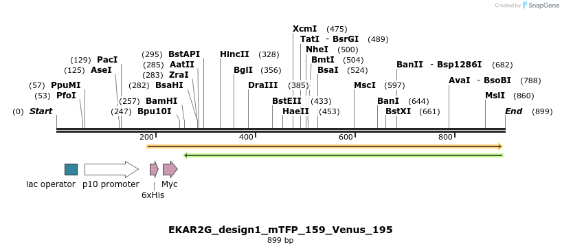 55396_map