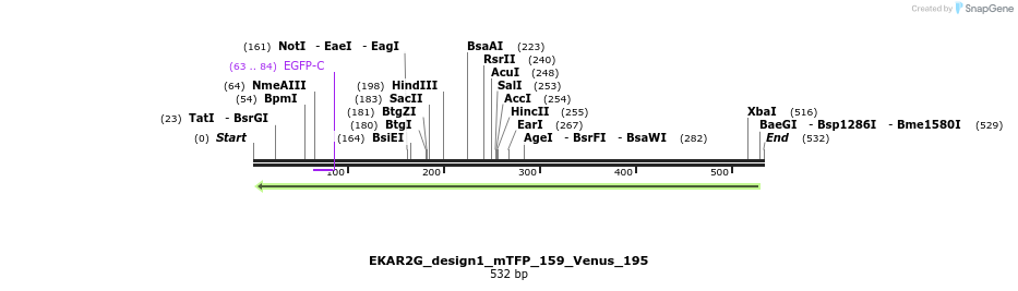 55397_map