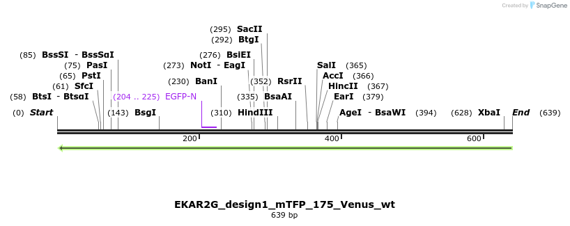 55398_map