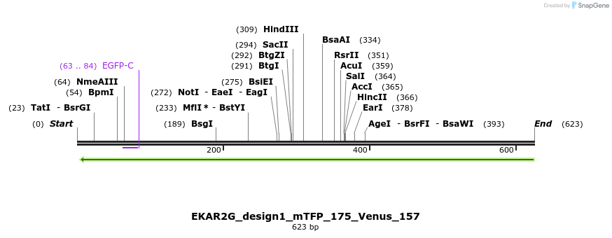 55399_map