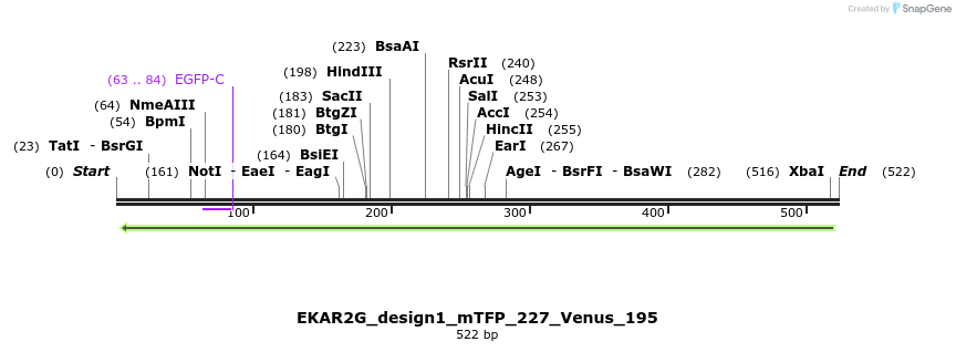 55401_map