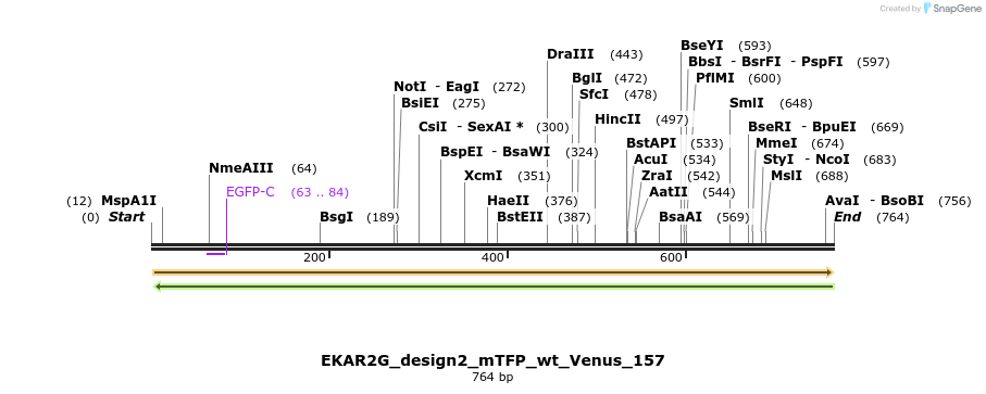 55402_map