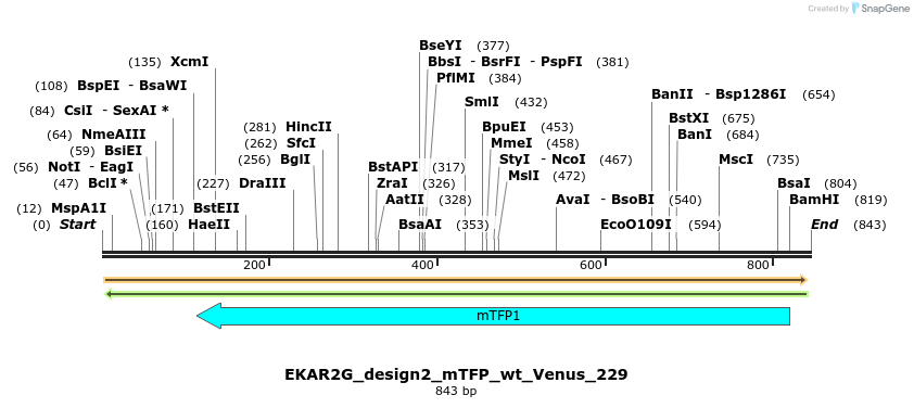 55406_map