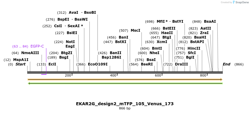 55408_map
