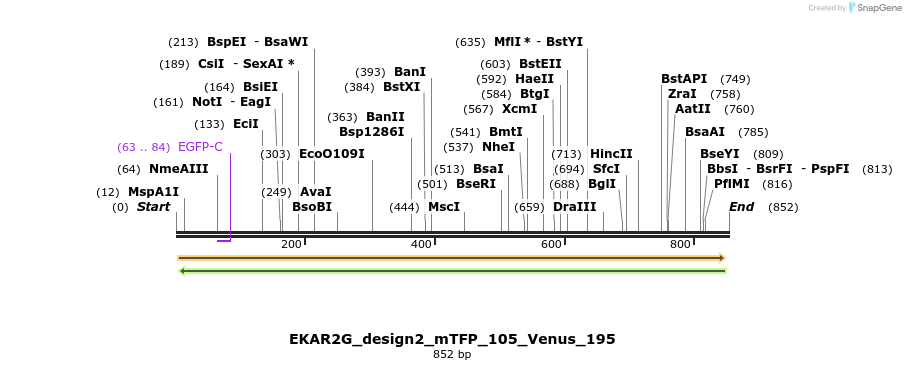 55410_map