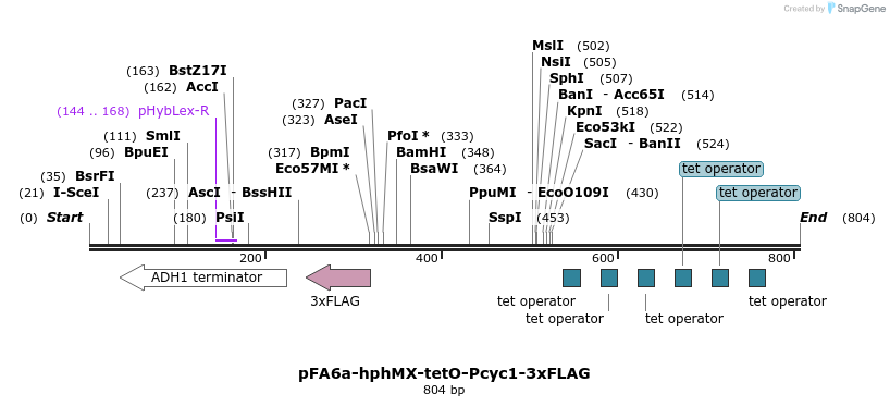 55411_map