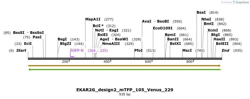 55412_map