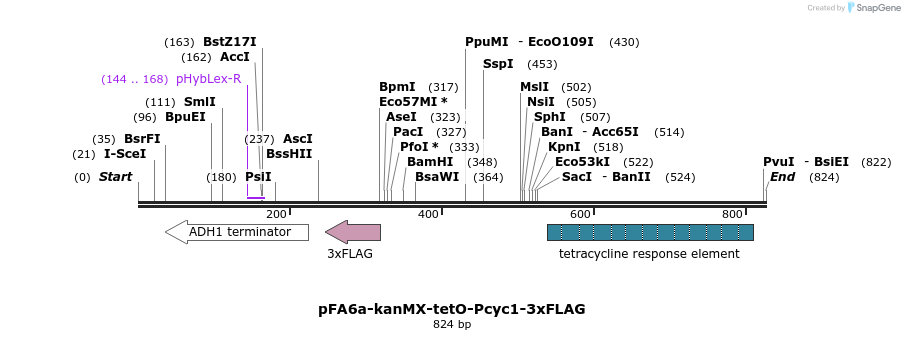 55414_map