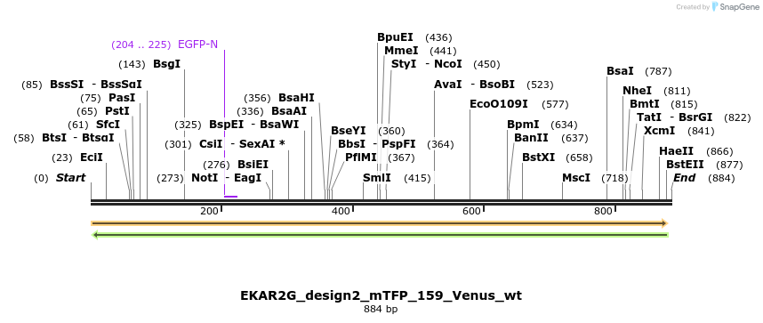 55415_map
