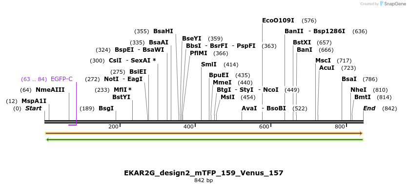 55416_map