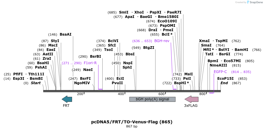 55418_map