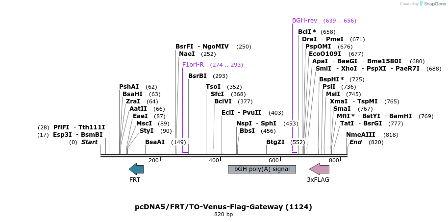 55422_map